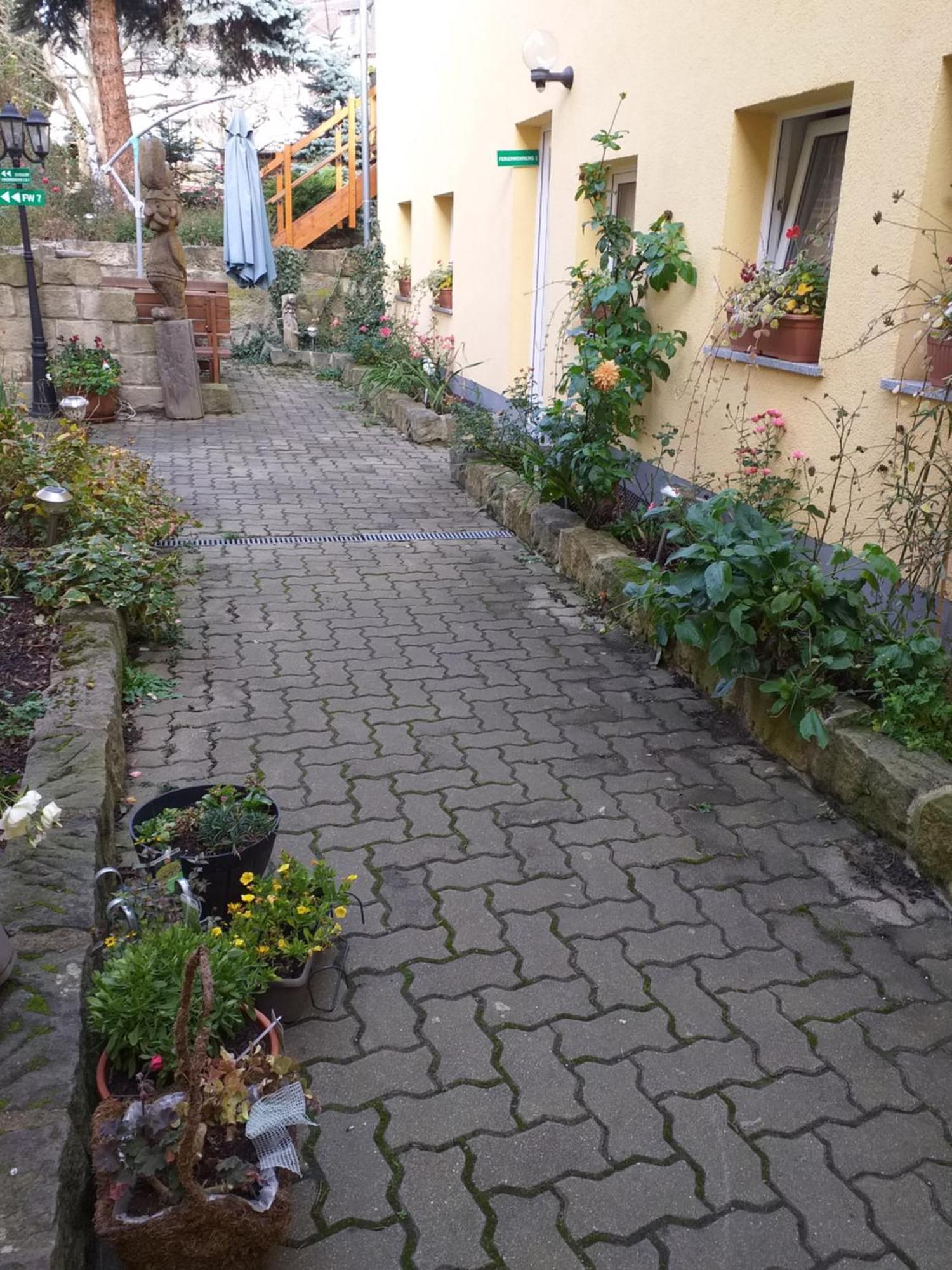 Ferienwohnungen Am Hauptplatz Pirna Eksteriør billede